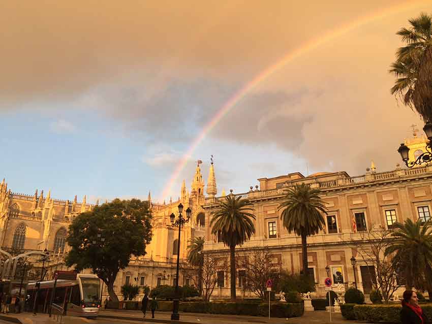 professional work experience seville