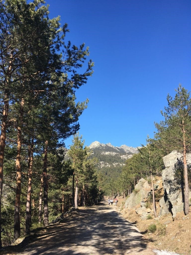 View during a hike in Siete Picos, outside Madrid.