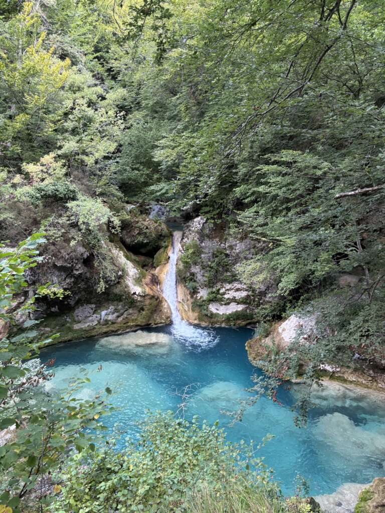 Exploring the Spanish Basque Country: Sunflowers, Pintxos and Euskera 2 exploring the basque country