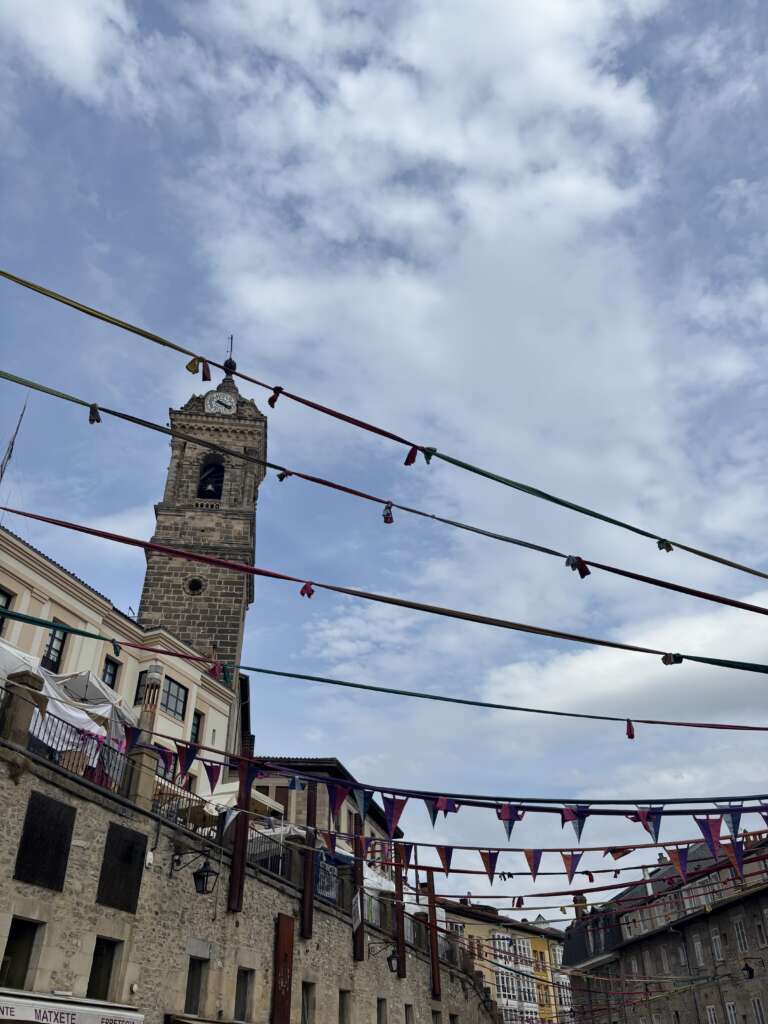 Exploring the Spanish Basque Country: Sunflowers, Pintxos and Euskera 4 exploring the basque country