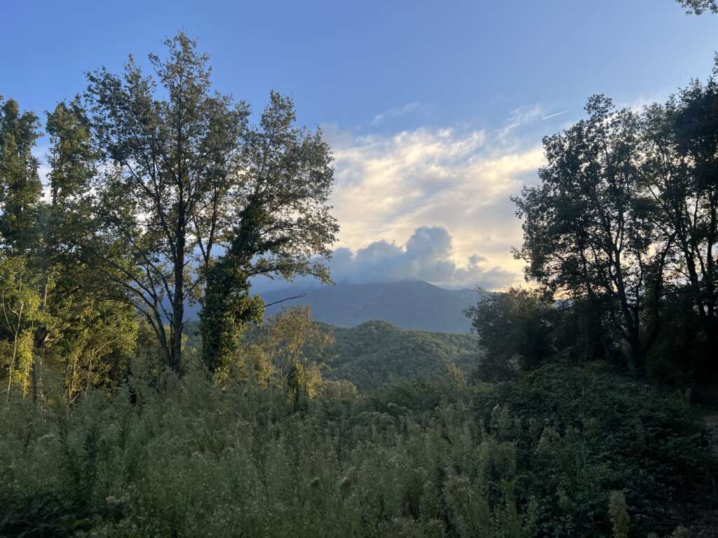 My Journey to Spain 1 my journey to Spain