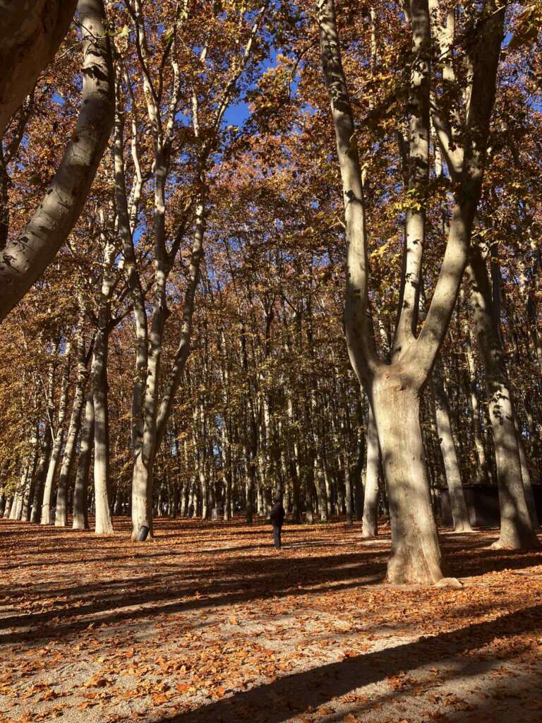 How to Enjoy the Mundanity of Daily Life in Spain: Life After the Honeymoon 1 How to Enjoy the Mundanity of Daily Life in Spain