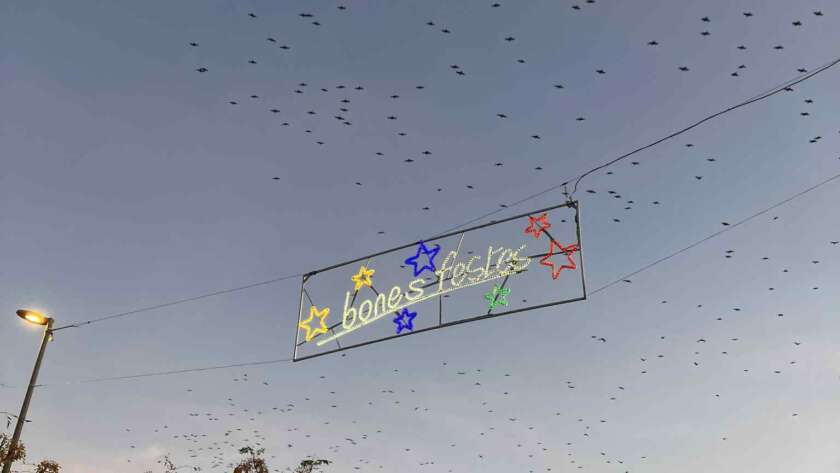 How to Enjoy the Mundanity of Daily Life in Spain